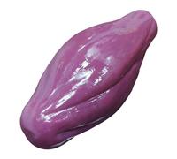 Sharplace Modèle de muscle humain Modèles de tissus musculaires anatomiques Modèle anatomique pratique pour l'apprentissage des étudiants en médecine