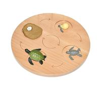 Sharplace Plateau de Cycle de vie, figurines du Cycle de croissance des animaux, modèle d'enseignement, biologie éducative réaliste, jouets, jouet, tortue de mer