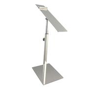 Sharplace Présentoir à Chaussures Support Hauteur réglable présentoir à Chaussures rehausseur de Chaussures pour Magasin Magasin de Chaussures Femmes décoration, Argent Poli
