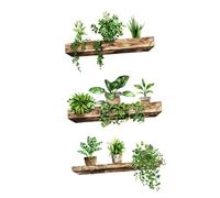 Sharplace Stickers muraux plantes vertes en pot, autocollant mural, décoratif, décoration intérieure, auto-adhésif, repositionnable et facile à décoller pour