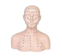 Sharplace Tête de mannequin avec points d'acupression, compacte, souple et réaliste, modèle de tête de formation professionnelle pour massage facial en spa