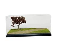 Sharplace Vitrine pour maquettes de voitures Hot Diecast Wheels à l'échelle 1/64, décor de sablonneux simulé, boîte de rangement pour