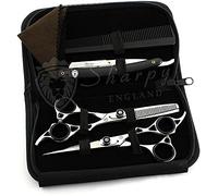 Sharpy - Trousse de coiffeur, Ensemble comprenant un paire de ciseaux, un ciseau à effiler, un peigne à effiler, une tondeuse, en acier inoxydable argenté, 16,5 cm