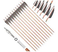 SHARROW 12 flèches Hybrides SP500 en Carbone avec empennage en Plumes de Dinde véritables de 10 cm - Contrôle supérieur pour Les matchs en Salle et en extérieur