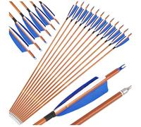 SHARROW 12 flèches Hybrides SP500 en Carbone avec empennage en Plumes de Dinde véritables de 10 cm - Contrôle supérieur pour Les matchs en Salle et en extérieur