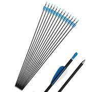 SHARROW 12 pièces Flèches de Carbone 32" Flèches pour Débutant Pratique 1000 Spine 1200 Flèches de Sport avec Carquois Flèche pour Arc à Poulies et Arc Classique(Spine 1000)