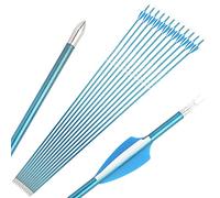 SHARROW Flèches de Carbone de Tir à l'arc Flèches de Chasse de 31" Flèches de Ciblage Spine 400-1000 Flèches en Fibre de Carbone pour Arc Classique (12, Bleu 1, Spine 900)