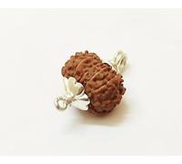 Sharvgun 13 perles Mukhi Rudraksha naturelles 18,82 mm, treize visages, marron, 1,71 g, pendentif original