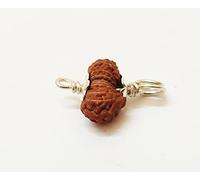 Sharvgun Naturelle 18 Perles Mukhi Rudraksha 12,51 mm, Dix-huit Faces Marron 0,410 g Pendentif Original