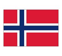 SHATCHI Ballon Drapeau de supporters de football norvégien de qualité supérieure avec œillets 150 cm x 90 cm, National Flag, Norvège