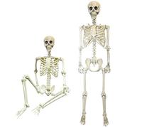 SHATCHI Décoration d'halloween Squelette Poseable Décoration Taille réelle 165 cm Accessoire de fête Cimetière Os Blanc