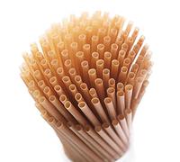 SHAUMN Lot de 200 pailles biodégradables en canne à sucre compostables de 20,3 cm - Pailles jetables sans plastique robustes - Pailles à smoothie pour la maison, le restaurant, les fêtes - Pas de buée