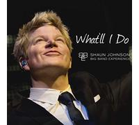 Shaun Johnson Big Band Experience - What'Ll Do