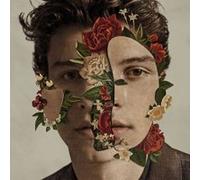 ImportCDs Shawn Mendes Vinyl Pop rock