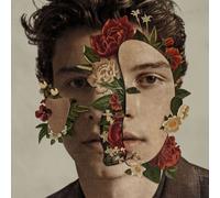 Shawn Mendes Vinyle