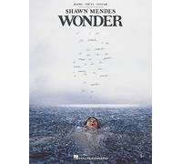Shawn Mendes-Wonder - Piano, Vocal and Guitar