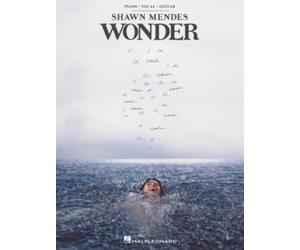 Shawn Mendes-Wonder - Piano, Vocal and Guitar