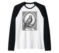 Shax, Le souverain de Shadowflight Manche Raglan