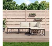 ShCuShan Salon de Jardin 4 pcs avec Coussins Anthracite résine tressée,Petit Salon De Jardin Exterieur,Salon Terrasse,Hesperide Salon Jardin