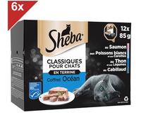 Sheba Classiques Pour Chats 72 Barquettes Terrine Coffret Océan 85g (6x12)