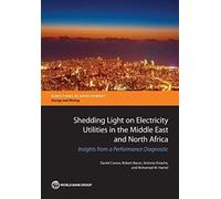 Shedding Light On Electricity Utilities In The Middle East And North Africa