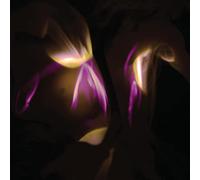 Shedir - Before The Last Light is Blown [Import]