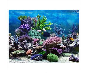 Sheens Poster d'aquarium sous-marin de mer corail - Poster épaissir - Colle PVC - Fond statique - 61 x 30 cm - Stickers muraux et peintures murales