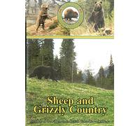 Sheep and Grizzly Country Vol. 5