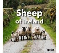 Sheep of Ireland by Sarah OConnor Sarah OConnor (Auteur)