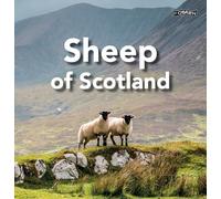 Sheep of Scotland