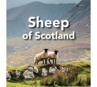 Sheep of Scotland - Sarah OConnor - OBrien Press Ltd - Livre en Anglais - Hardback Sarah OConnorSarah OConnor (Auteur)