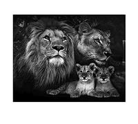 SHEGZHUC Diamond Painting Lion et Bébé - 40 x 50 cm Peinture par Numéro - Animaux Diamant Perle