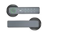 SHEHUALI Serrure Intelligente, Serrure de porte intelligente en bois à Double rangée, serrure empreintes digitales, Bluetooth, antivol, mot passe, électronique(Silver)