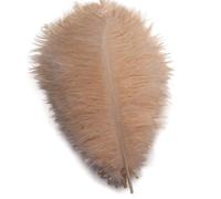 Shekyeon 25-30 cm Plumes d'autruche Décoration DIY Craft Lot de 10 Champagne