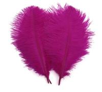 Shekyeon 25-30 cm Plumes d'autruche Décoration DIY Craft Lot de 10,Fuchsia