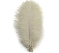 Shekyeon 25-30 cm Plumes d'autruche Décoration DIY Craft Lot de 10 - Ivoire