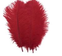 Shekyeon 25-30 cm Plumes d'autruche Décoration DIY Craft Lot de 10,Rouge