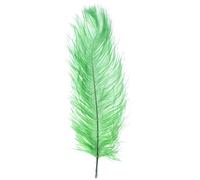 Shekyeon 25-30 cm Plumes d'autruche Décoration DIY Craft Lot de 10 - Vert foncé