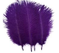 Shekyeon 25-30 cm Plumes d'autruche Décoration DIY Craft Lot de 10,Violet