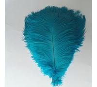 Shekyeon 30-35 cm Plumes de Plumes d'autruche pour Mariage Table Lot de 10 Turquoise