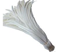 Shekyeon 30-35 cm Queue de coq plumes à utiliser pour chapeaux Costume Décoration Lot de 50 Blanc