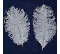 Shekyeon Lot de 10 Plumes d'autruche Blanches 25-30 cm Blanc