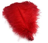 shekyeon Lot de 10 Plumes d'autruche pour Loisirs créatifs Rouge 40-45 cm