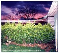 Shelley Short – Captain Wild Horse Rides The Heart of Tomorrow