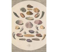 Shells Sketchbook: 120-Page Sketchbook Featuring the Artwork “Mollusc Shells” by Martin Frobenius Ledermüller