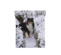Sheltie d'hiver Fond d'écran, Sac de Rangement pour Femmes, Portefeuille supérieur à Presser, Petit Porte-Monnaie, Pochette de Changement