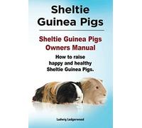 Sheltie Guinea Pigs. Sheltie Guinea Pigs Owners Manual. How To Raise Happy And Healthy Sheltie Guinea Pigs.