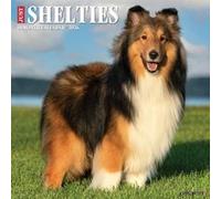 Shelties 2026 12 X 12 Wall Calendar - Willow Creek Press - Willow Creek Press Calendars - Livre en Anglais - Calendar Willow Creek PressWillow Creek Press (Auteur)