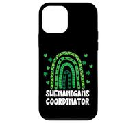 Shenanigans Coordinator St Patricks Day Green Rainbow Coque pour iPhone 12 Mini