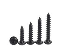 SHENGG M5 M6 M8 M10 noir 304 acier inoxydable rond à six pans creux vis autotaraudeuses vis à bois longueur 10mm ~ 100mm(80mm,M10-2pcs)